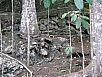 P3020982.jpg
