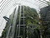 P3041300.jpg