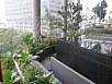P3041390.jpg