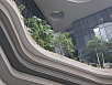 P3041392.jpg