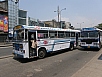 P3051455.jpg