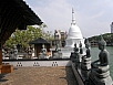 P3051571.jpg
