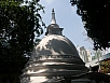 P3051602.jpg