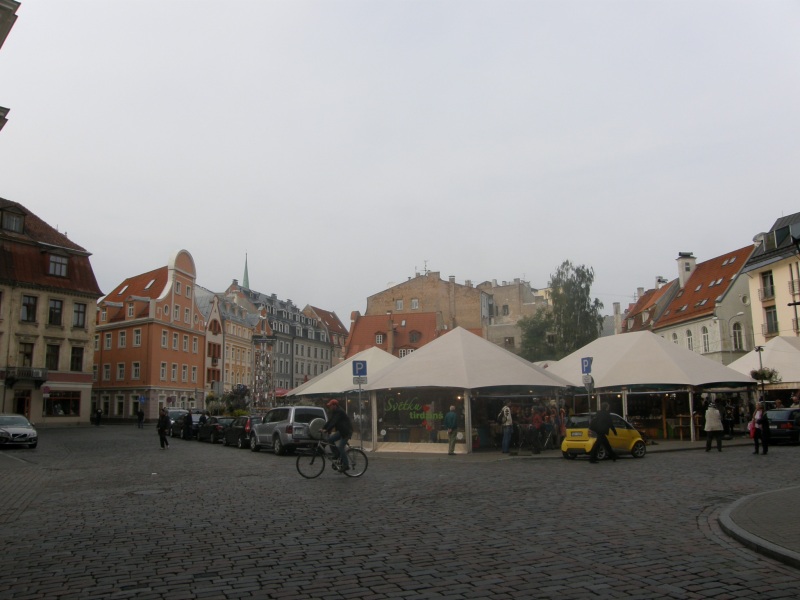 P9190046.jpg