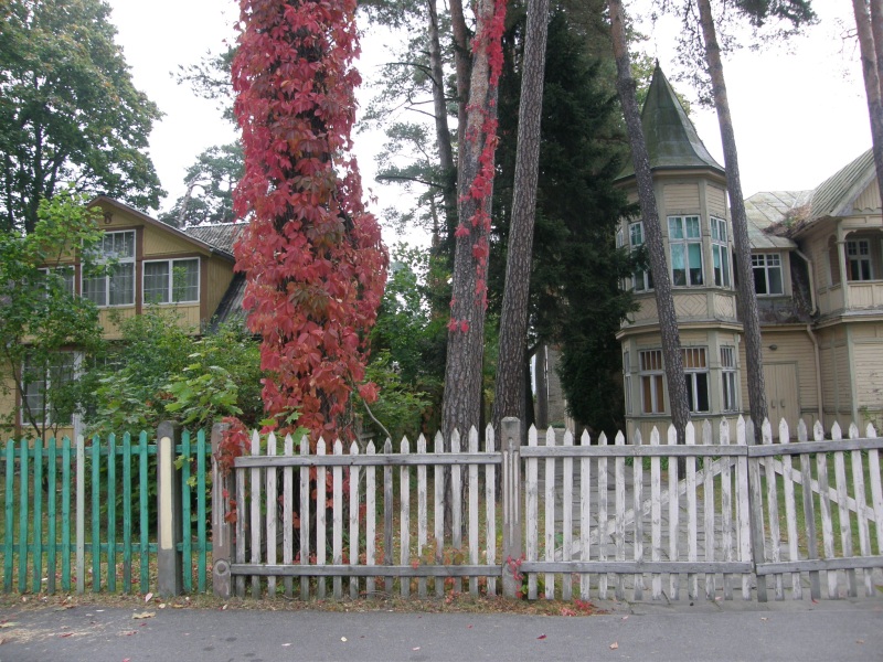 P9271123.jpg