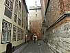 P9190109.jpg