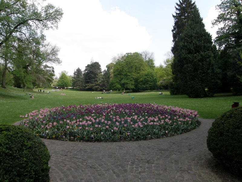 P5020327.jpg