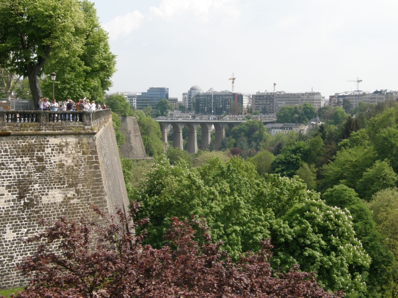 P5020359.jpg