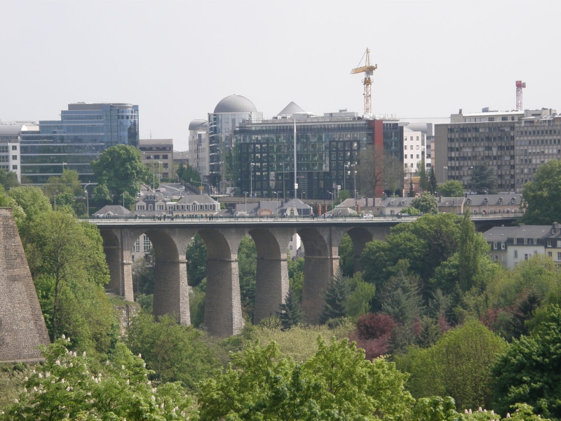 P5020361.jpg