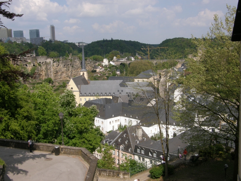 P5020383.jpg