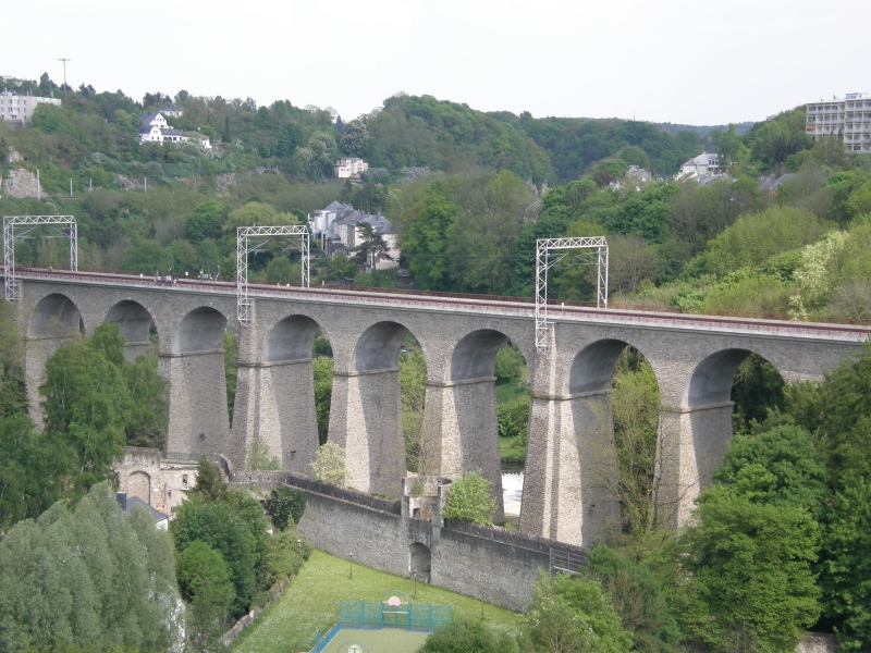 P5020394.jpg