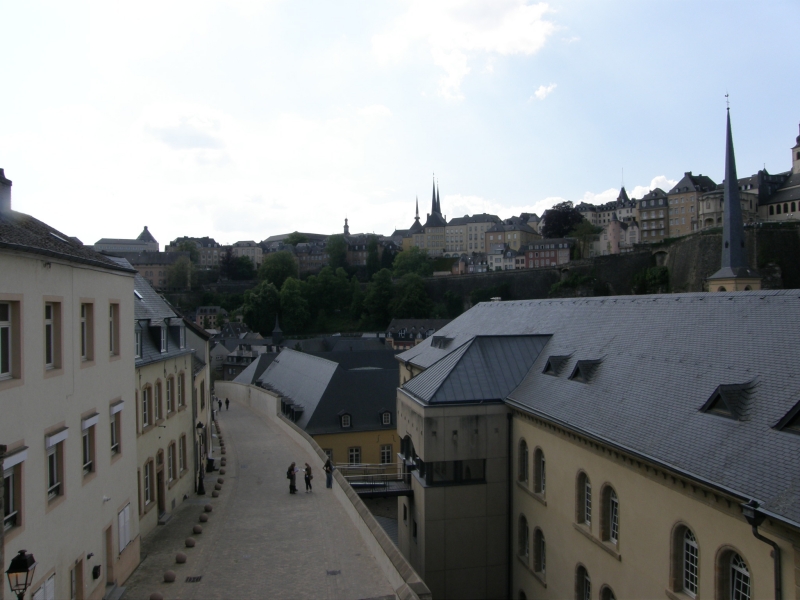 P5020421.jpg