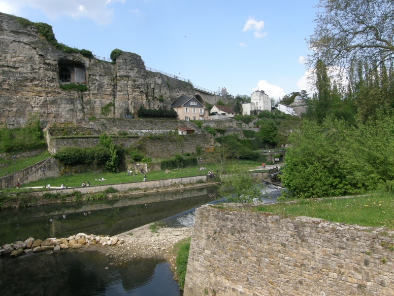 P5020425.jpg