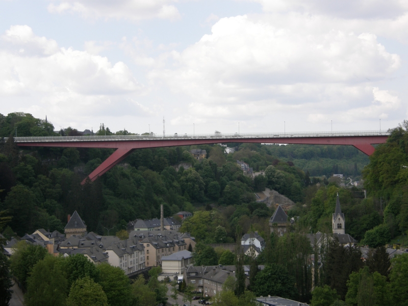 P5020431.jpg