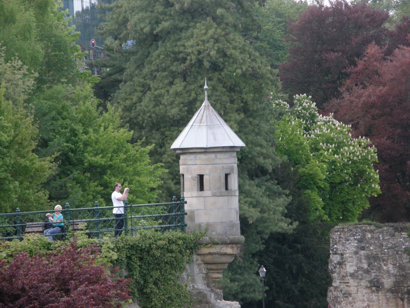 P5020434.jpg