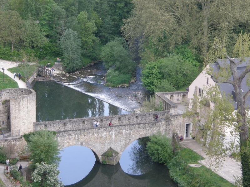 P5020437.jpg