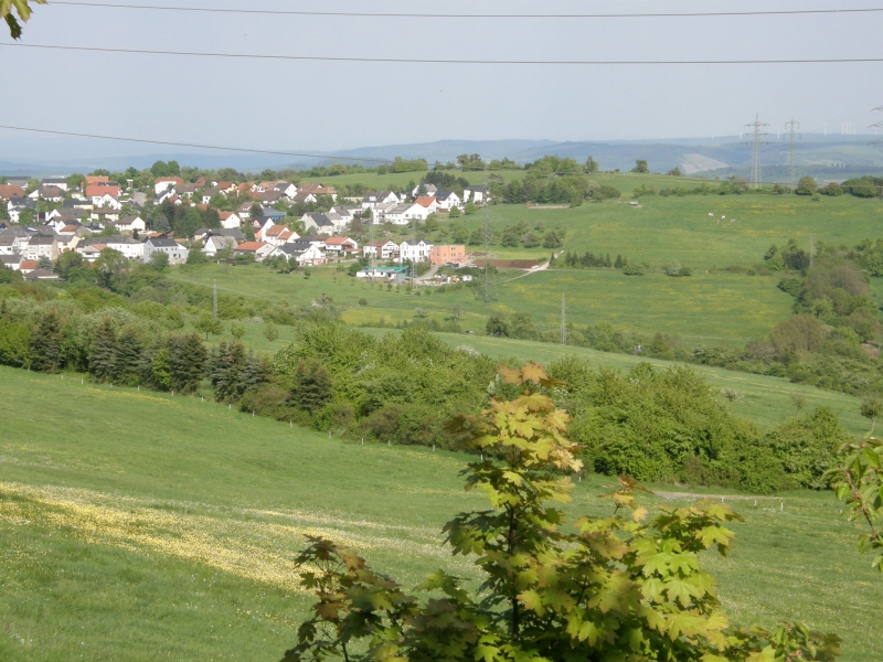 P5020462.jpg