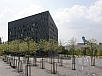 P5020309.jpg