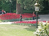 P5020330.jpg