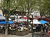 P5020346.jpg