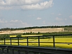 P5020461.jpg
