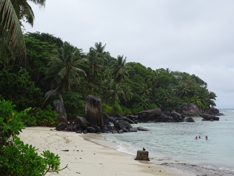 DSC02178.jpg
