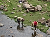 DSC00471.jpg