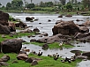 DSC00485.jpg