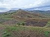 DSC00511.jpg