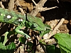 DSC00566.jpg