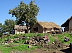 DSC00609.jpg