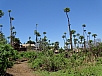DSC00662.jpg