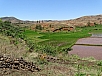 DSC00680.jpg