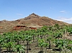 DSC00690.jpg