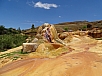 DSC00735.jpg