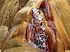 DSC00737.jpg