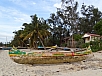 DSC00823.jpg