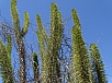 DSC00863.jpg