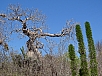 DSC00884.jpg