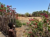 DSC00904.jpg