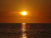 DSC00935.jpg
