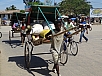 DSC00952.jpg
