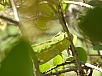 DSC01020.jpg