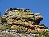 DSC01029.jpg