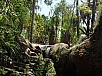 DSC01114.jpg
