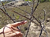 DSC01117.jpg