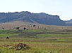 DSC01131.jpg