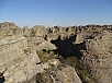 DSC01162.jpg