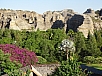 DSC01183.jpg