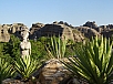 DSC01189.jpg
